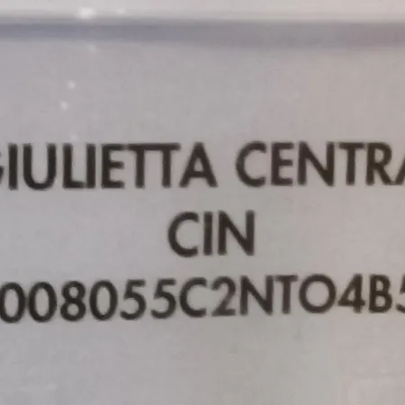 Apartment Giulietta Loft *